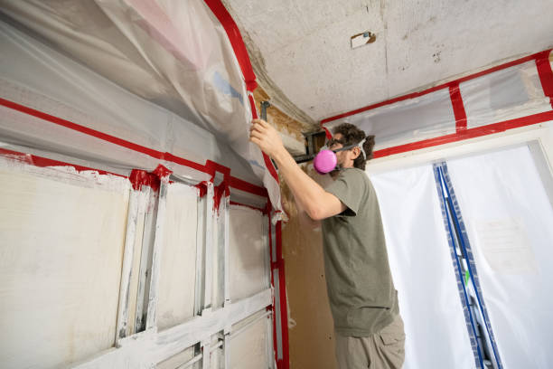 Madison, FL Mold Removal Company