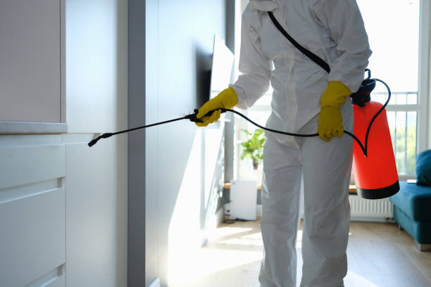 Best Real Estate Mold Inspection  in Madison, FL
