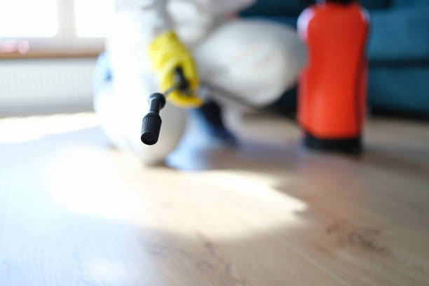  Madison, FL Mold Removal Pros