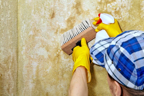 Best Biohazard Mold Removal  in Madison, FL