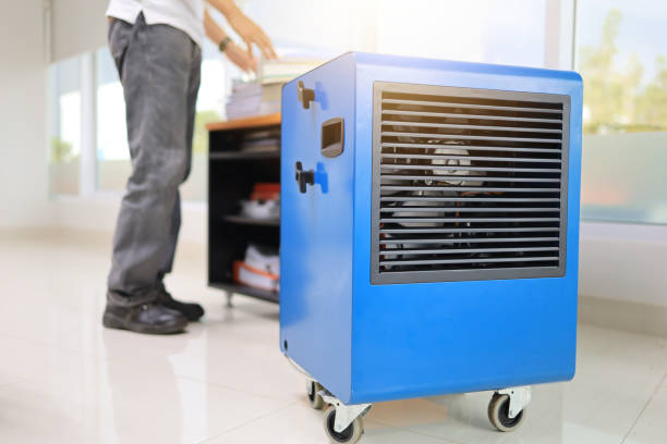 Best Post-Remediation Verification Testing  in Madison, FL
