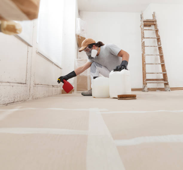 Asbestos and Lead Testing During Mold Inspection in Madison, FL