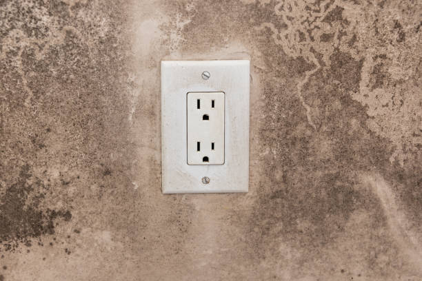 Mold Remediation for Rental Properties in Madison, FL